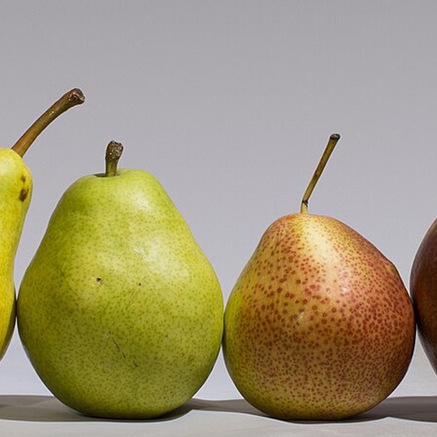 Bartlett Pears