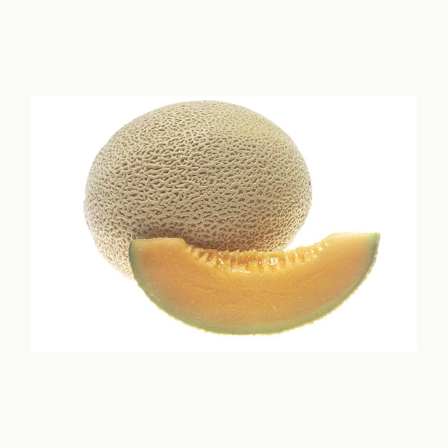 Cantaloupe