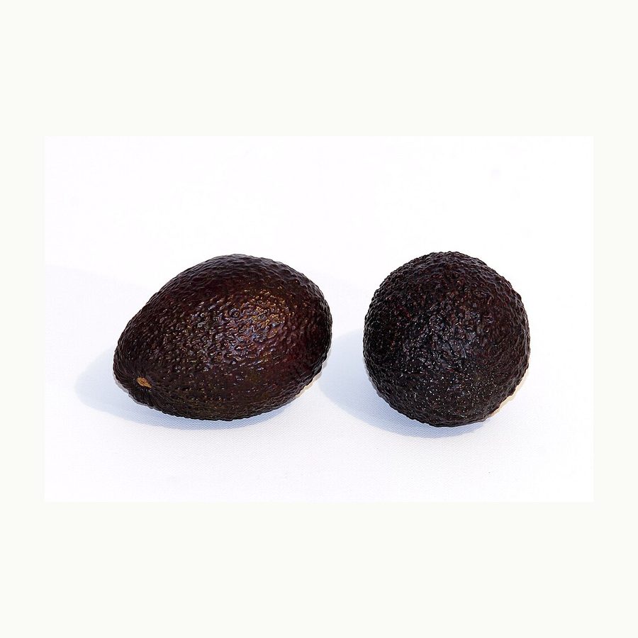 Hass Avocados