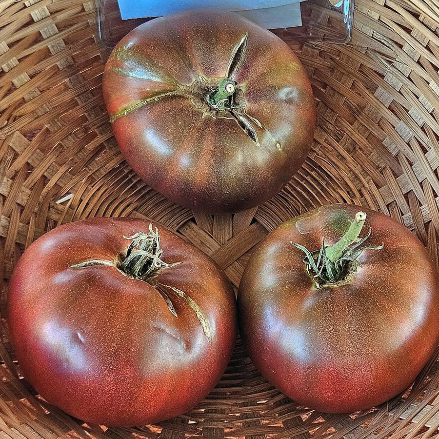 Heirloom Tomatoes
