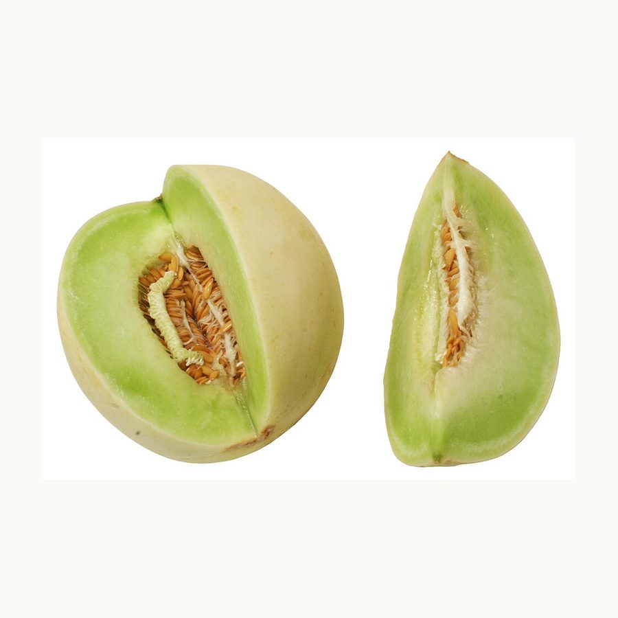 Honeydew Melon