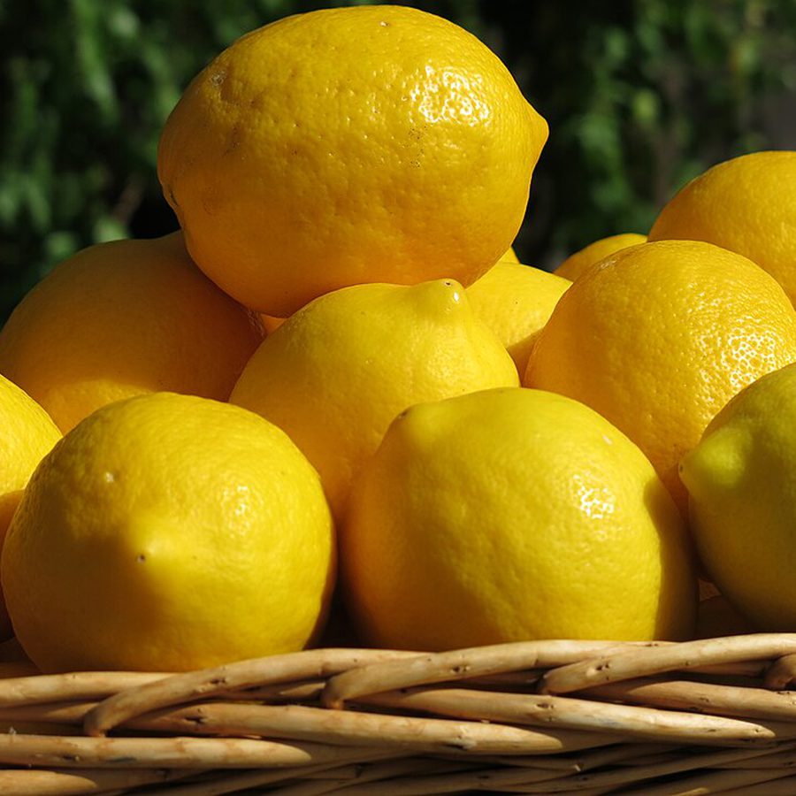 Meyer Lemons