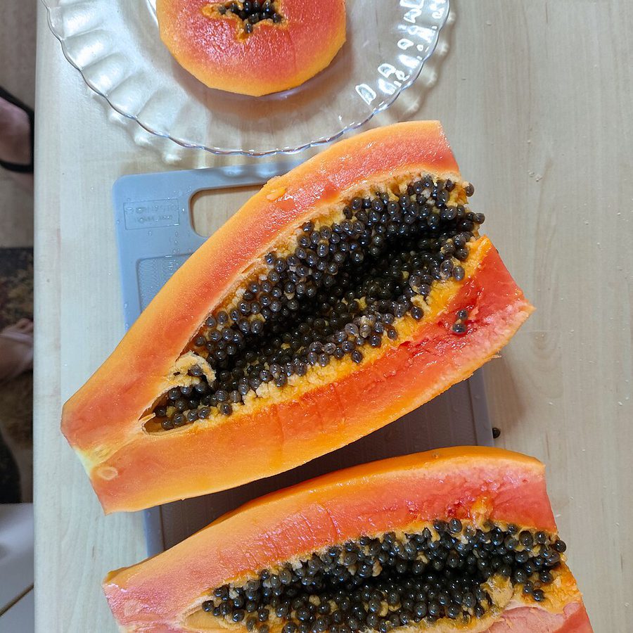 Formosa Papaya