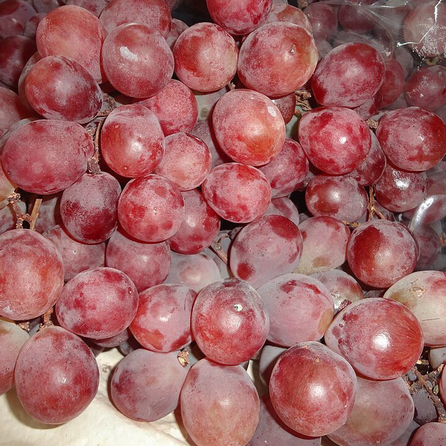 Red Seedless Grapes