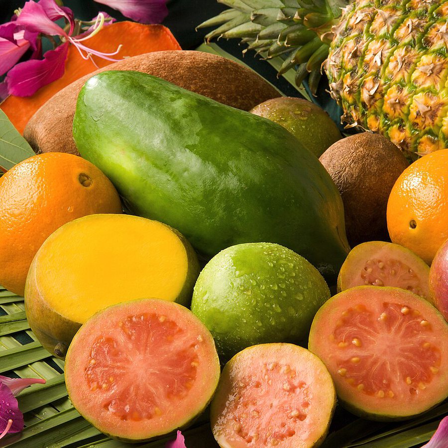 Tropical Box